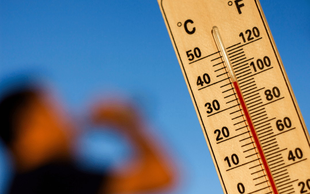 Recomanacions per a afrontar les onades de calor